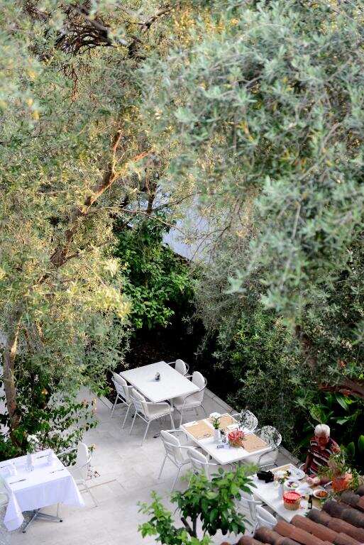 Hotel garden with dining tables set under olive trees
